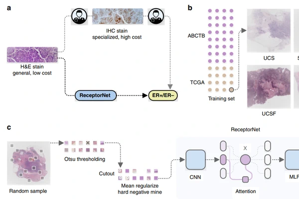 TCSS702 Master's Capstone Project